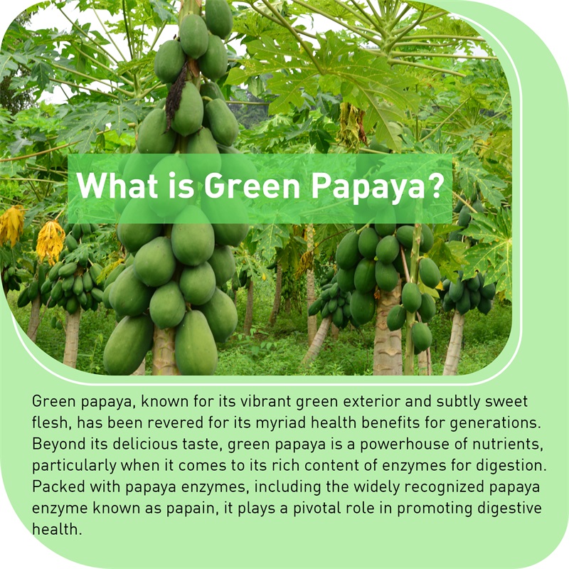 Papaye verte - Améliore le sys - Licorice Root Extract avis et prix
